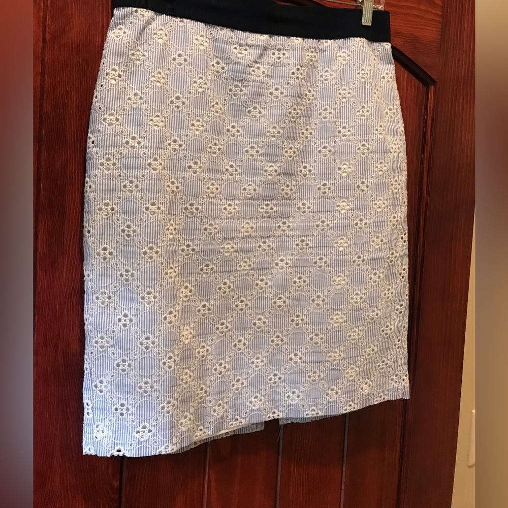Ann Taylor Strip Eyelet Skirt